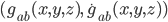 (g_{ab}(x,y,z),\,\dot{g}_{ab}(x,y,z))