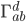 \Gamma^{d}_{ab}