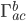 \Gamma^{b}_{ac}