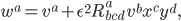 w^a = v^a + \epsilon^2 R^a_{bcd}\,v^b x^c y^d,
