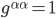 g^{\alpha\alpha} = 1